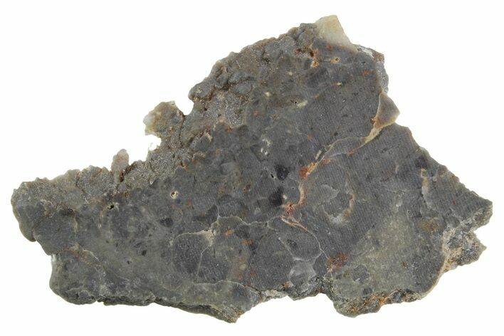 Lunar Meteorite Slice ( g) - NWA #360355